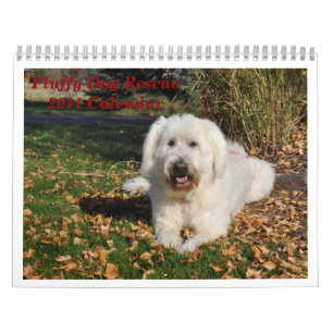 Fluffy Dog Rescue Calendar