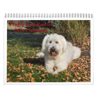 Fluffy Dog Rescue Calendar