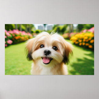 Fluffy Dog with Big Eyes | Joyful Pet Image Poster