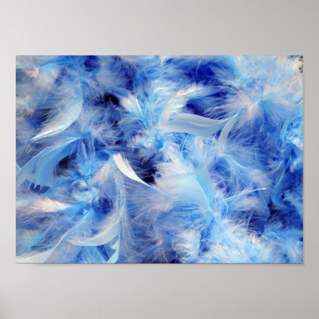 Fluffy Feathers Poster (Front)
