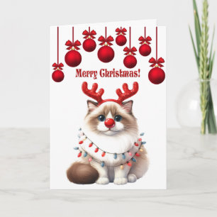 Fluffy Funny Cat Christmas  Card