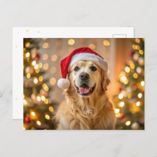 Fluffy golden retriever wearing a red Santa hat Holiday Postcard