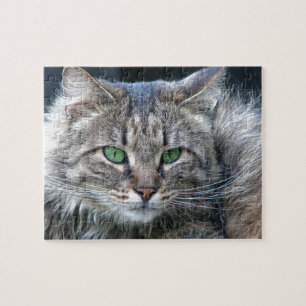 Fluffy Green-Eyed Tiger Kitty Cat Jigsaw Puzzle