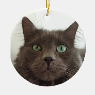 Fluffy Grey cat Ceramic Ornament