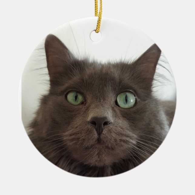 Fluffy Grey cat Ceramic Ornament (Front)