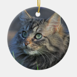 Fluffy Grey Tabby Cat Looking Upward Ceramic Ornament