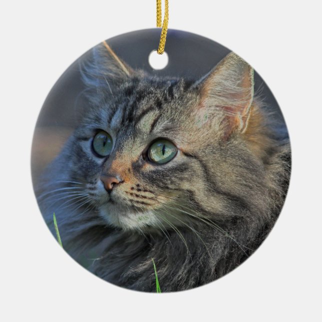 Fluffy Grey Tabby Cat Looking Upward Ceramic Ornament (Front)