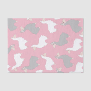 Fluffy Grey & White Llamas Tissue Paper