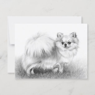 Fluffy - Hand Painted Chihuahua Artwork Postcard