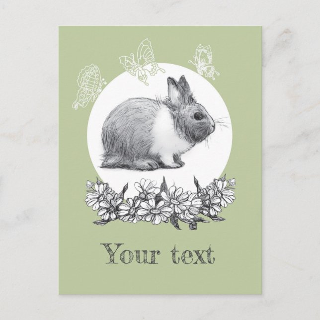 Fluffy hare with butterflies on green background postcard (Front)