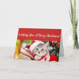 Fluffy Kitten Christmas Card