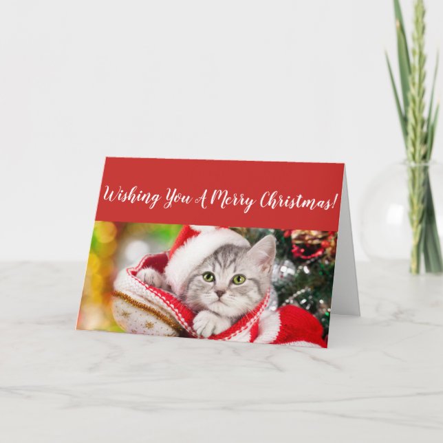 Fluffy Kitten Christmas Card (Front)