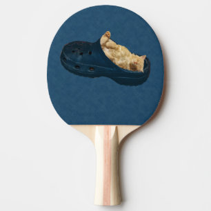 Fluffy Kitten Sleeping In Croc Shoe, Paddle