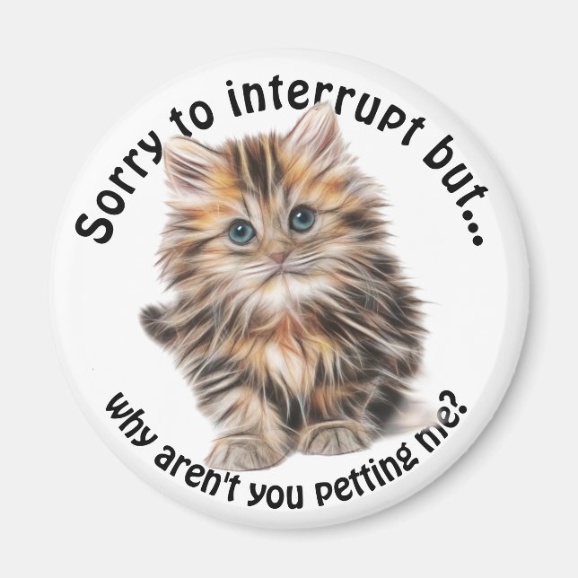 Fluffy Kitty Funny Pet Me Quote Magnet (Front)