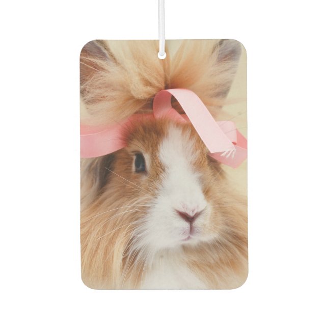 Fluffy Lionhead Bunny Rabbit Car Air Freshener (Front)