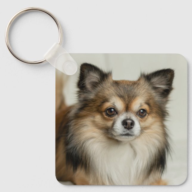 Fluffy Long Haired Chihuahua Puppy Dog Key Ring (Front)