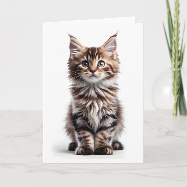 Fluffy Long-Haired Maine Coon Cat Blank Greeting Card (Front)