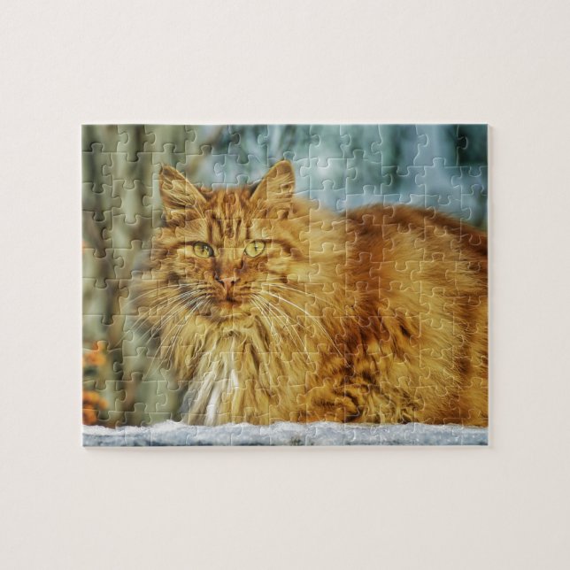 Fluffy Long-Haired Orange Manly Cat Jigsaw Puzzle (Horizontal)