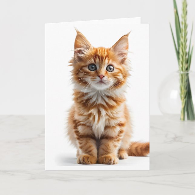 Fluffy Long-Haired Orange Tabby Cat Blank Card (Front)