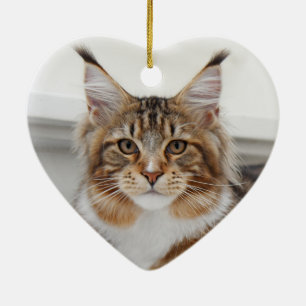 Fluffy Maine Coon Cat Ceramic Ornament
