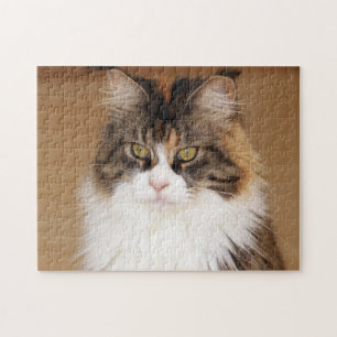 Fluffy Maine Coon Cat Jigsaw Puzzle