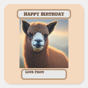 "Fluffy Majesty: The Big Woolly Brown Alpaca" Square Sticker