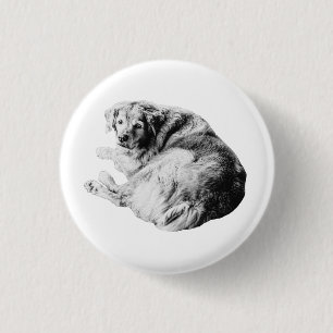 Fluffy Nest, Friendly Look 3 Cm Round Badge