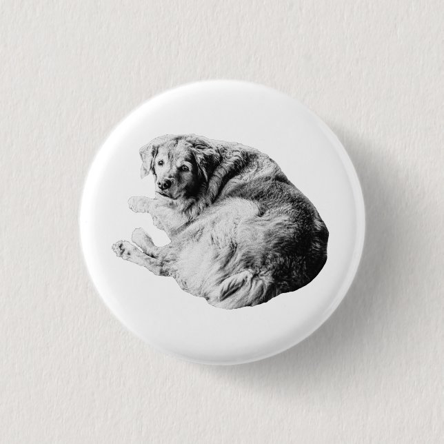 Fluffy Nest, Friendly Look 3 Cm Round Badge (Front)