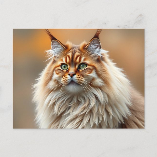 Fluffy Norwegian Forest Cat Portrait Postcard (Front)