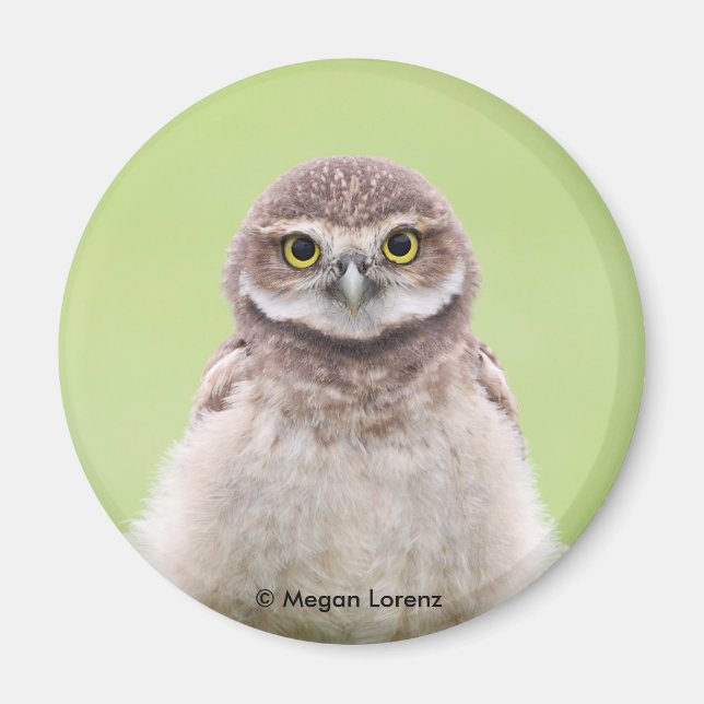 Fluffy Owlet Magnet (Front)