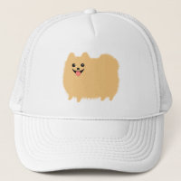 Fluffy Pomeranian Cute Dog
