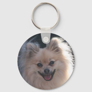 fluffy pomeranian dog key ring