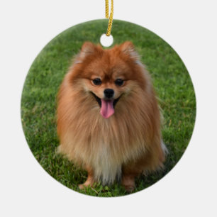 Fluffy Pomeranian Puppy Dog Ceramic Ornament