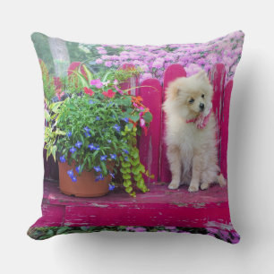 Fluffy Pomeranian Puppy Rustic Garden Floral Cushion