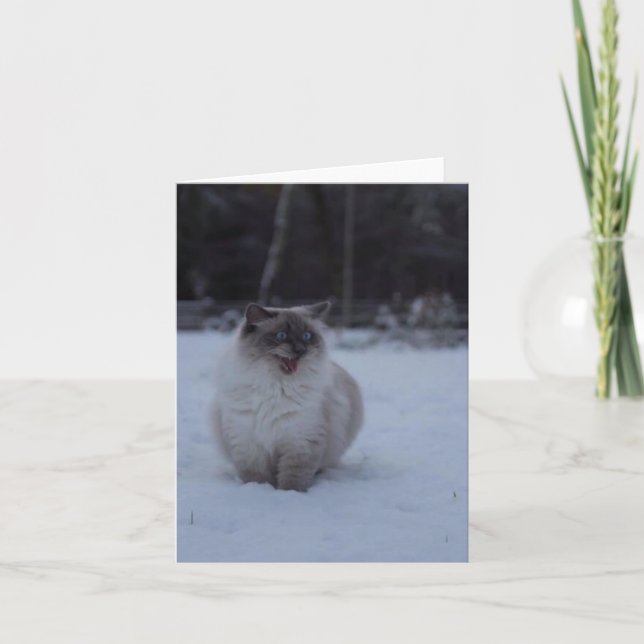 Fluffy Ragdoll Cat in the Snow Greeting Card (Front)