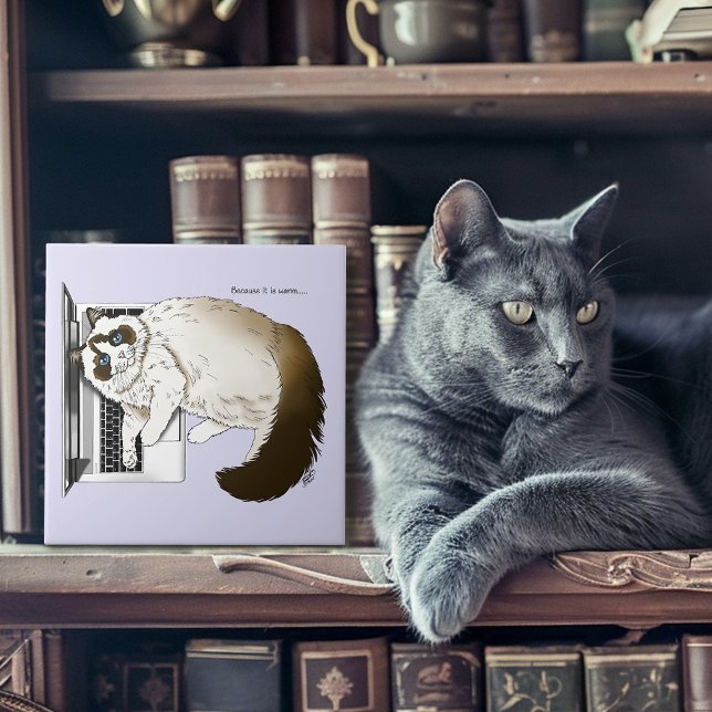 Fluffy Ragdoll Cat Lavender Laptop Funny Ceramic Tile (Creator Uploaded)
