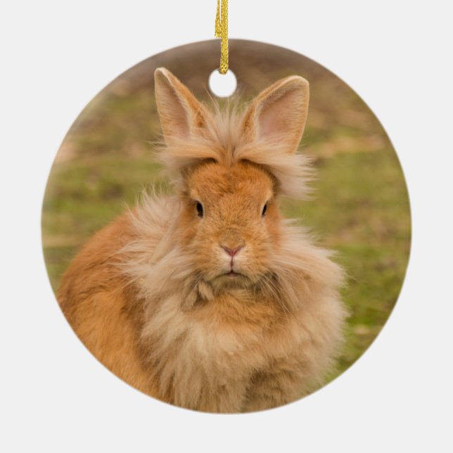 Fluffy Red Lionhead Bunny Rabbit Ceramic Ornament (Back)