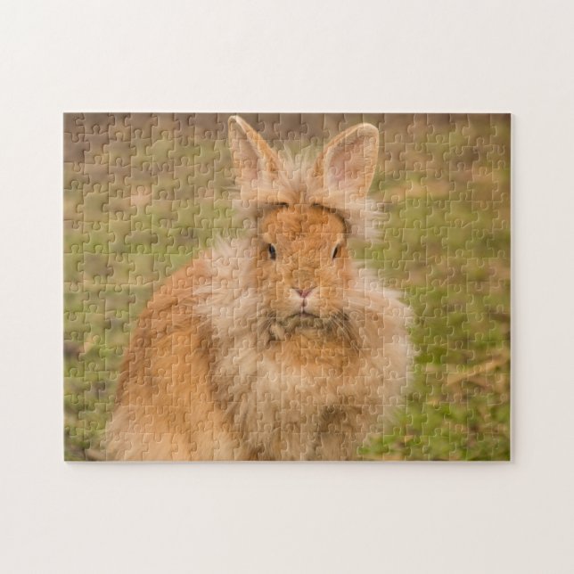 Fluffy Red Lionhead Bunny Rabbit Jigsaw Puzzle (Horizontal)