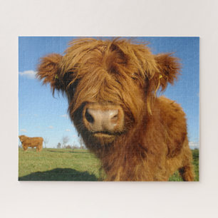 Fluffy Scottish Highland Cow - Blue Sky Jigsaw Puzzle