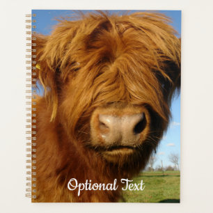 Fluffy Scottish Highland Cow - Blue Sky Planner