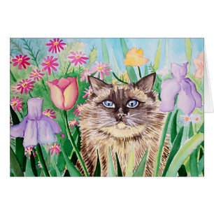 Fluffy Siamese Burmese Cat Card Molly Harrison
