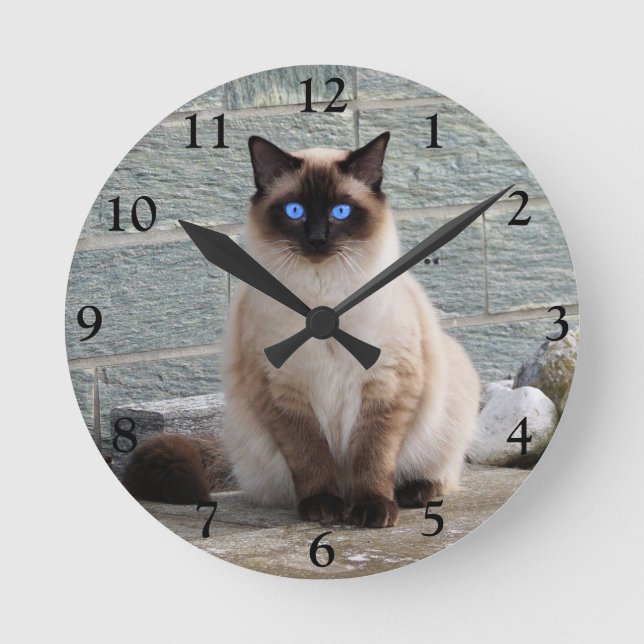 Fluffy Siamese Cat with Blue Eyes Round Clock (Front)