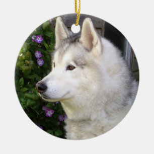Fluffy Siberian Husky Puppy Dog Ceramic Ornament