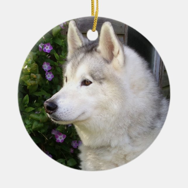 Fluffy Siberian Husky Puppy Dog Ceramic Ornament (Front)
