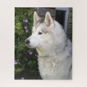 Fluffy Siberian Husky Puppy Dog Jigsaw Puzzle