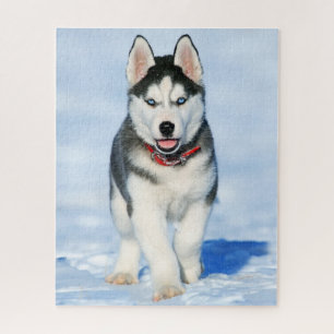Fluffy Siberian Husky Puppy in the Snow Jigsaw Puzzle