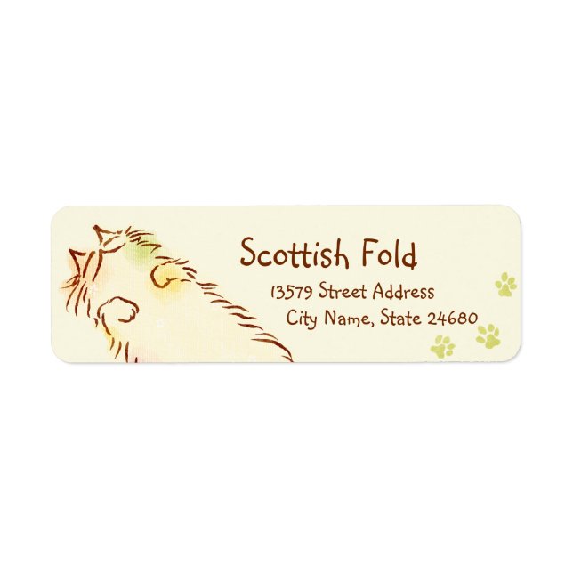 Fluffy Sleepy Cat Return Address Label (Front)