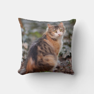 Fluffy Sweet Calico Tabby Cat Cushion