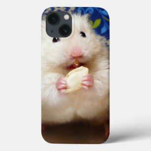 Fluffy syrian hamster Kokolinka eating a seed iPhone 13 Case