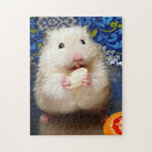 Fluffy syrian hamster Kokolinka eating a seed Jigsaw Puzzle
